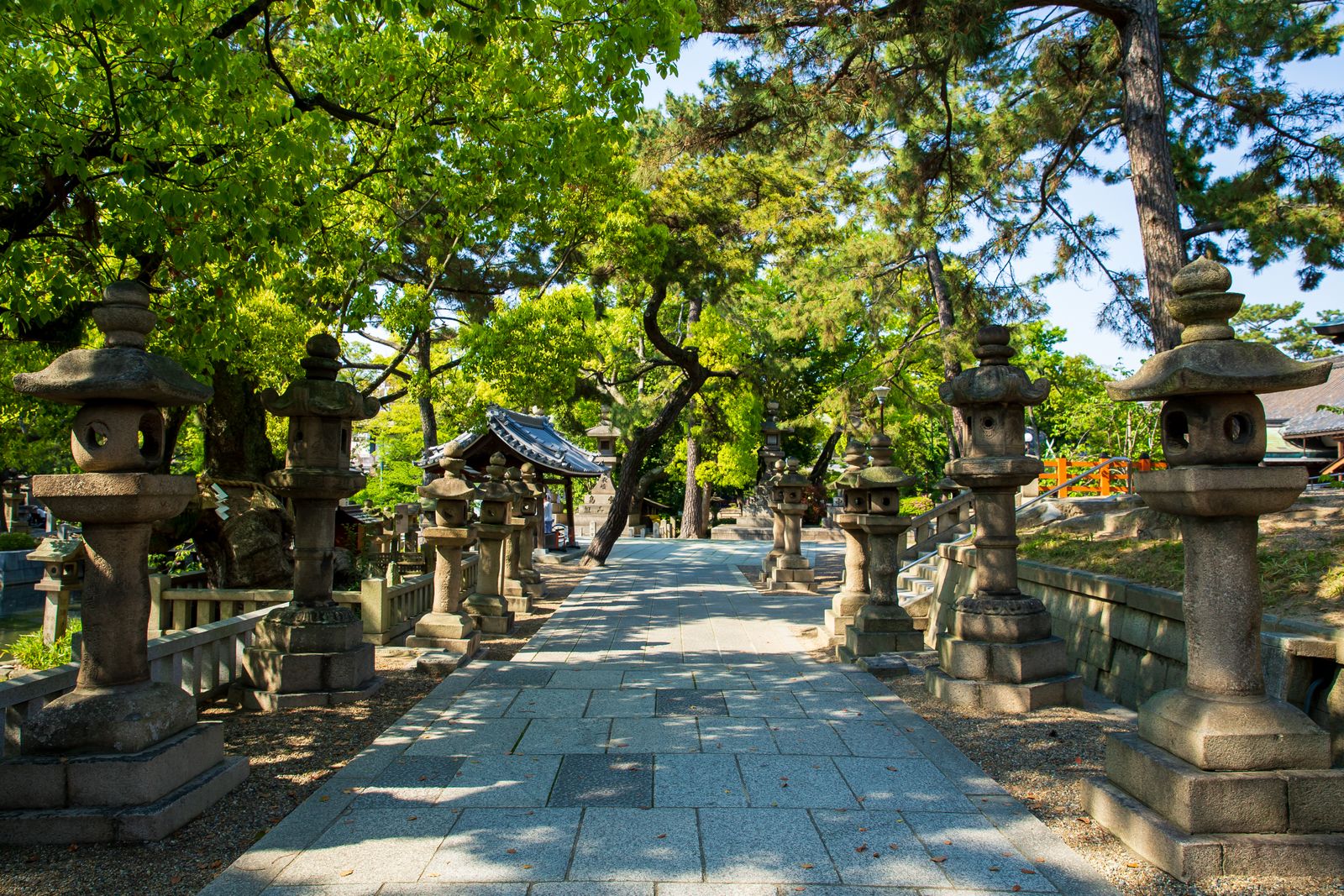 石灯籠の並ぶ参道